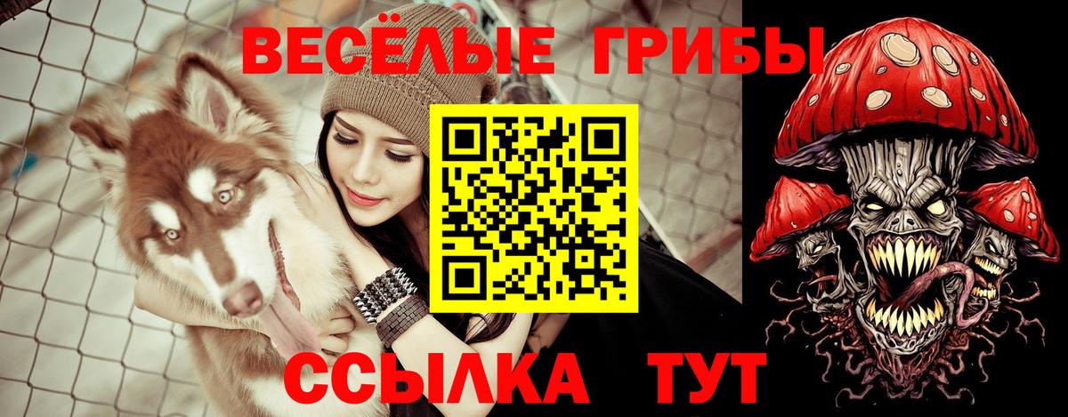 Псилоцибиновые грибы MAGIC MUSHROOMS  Вход с VPN  Славянск-на-Кубани  Псилоцибиновые грибы Cubensis 